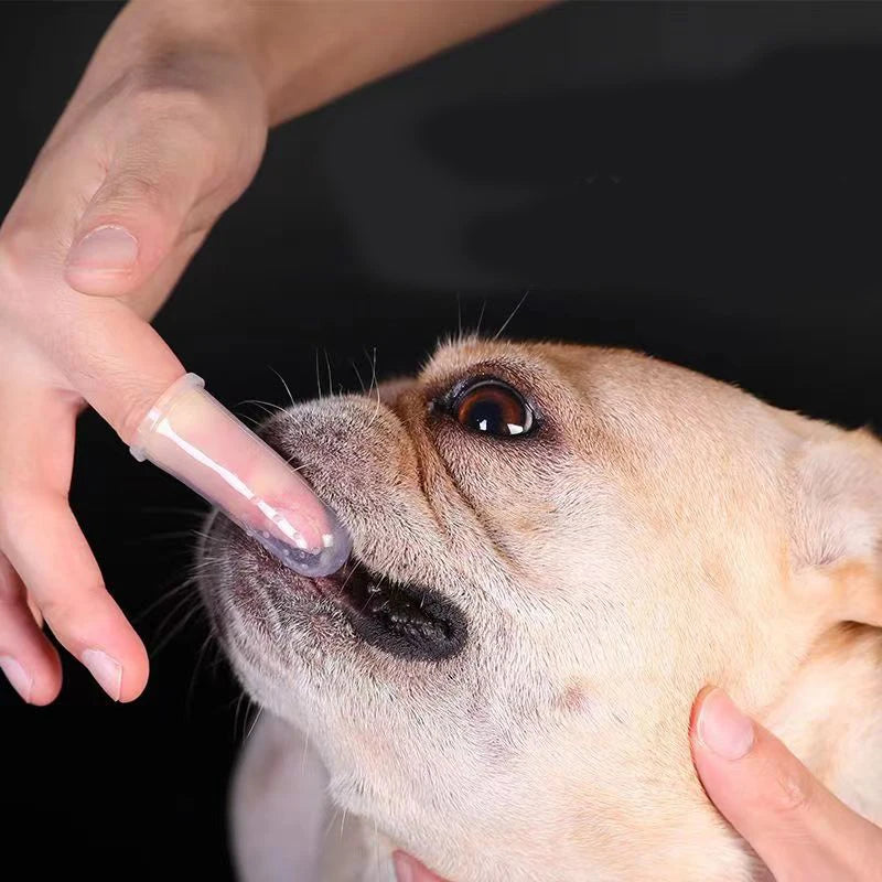 Soft Silicone Pet Toothbrush